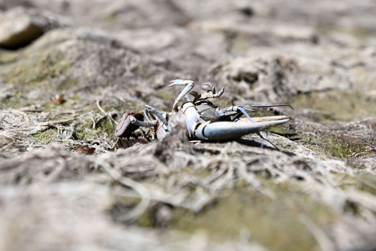 Drittwärmster September seit Beginn der Aufzeichnungen in Europa
