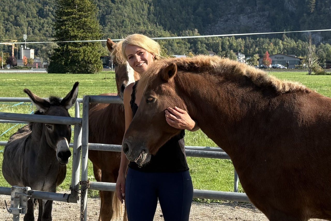 Pferdestall in Hohenems droht Abbruch: "Ich kämpfe für meine Tiere"